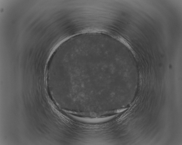 X0000062631124200601111053