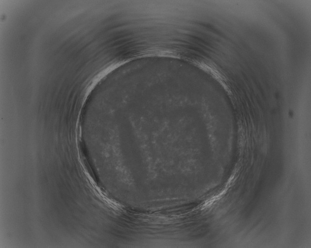 X0000062631125200601111053