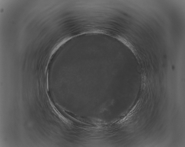 X0000062631127200601111053