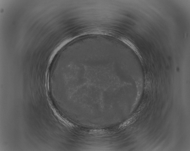 X0000062631128200601111053