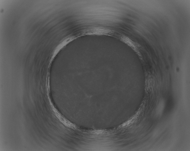 X0000062631130200601111053