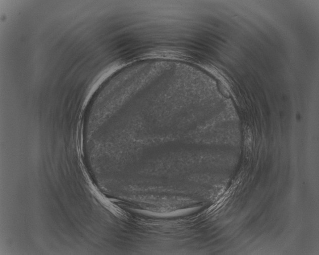 X0000062631131200601111053