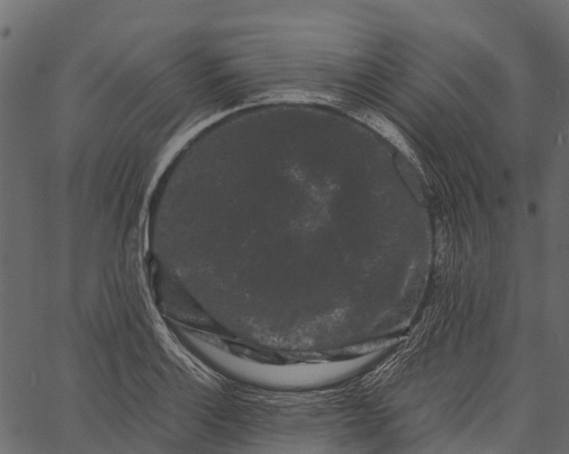 X0000062631132200601111053