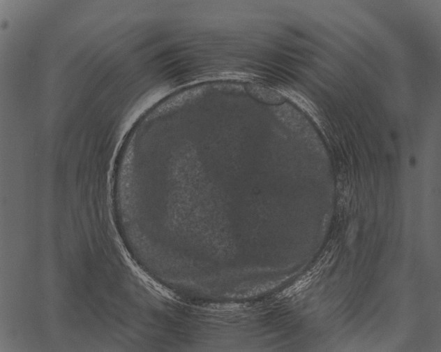 X0000062631135200601111053