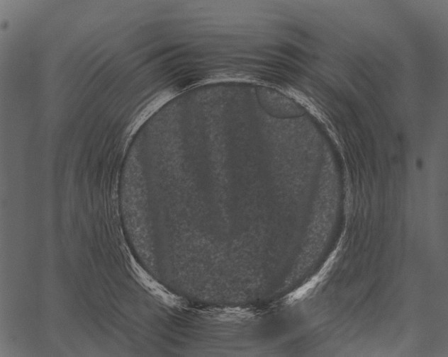 X0000062631137200601111053