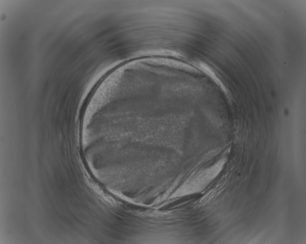 X0000062631140200601111053