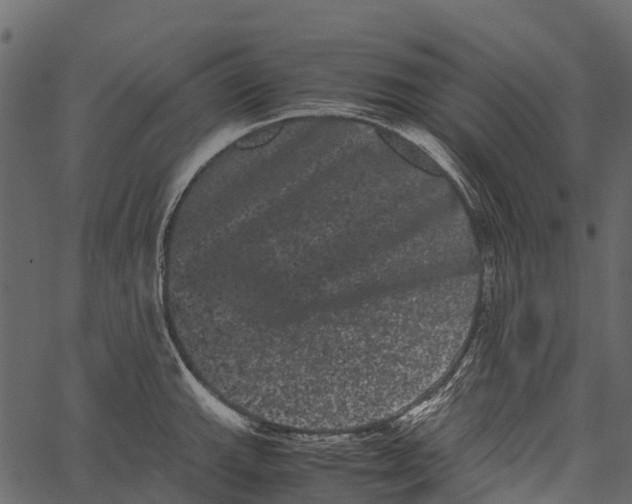 X0000062631143200601111053