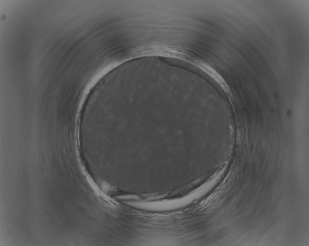 X0000062631144200601111053