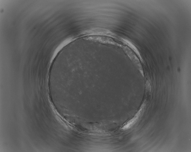 X0000062631146200601111053