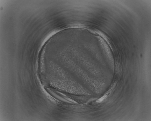 X0000062631147200601111053