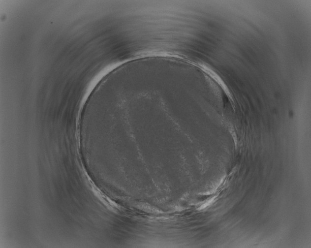 X0000062631148200601111053