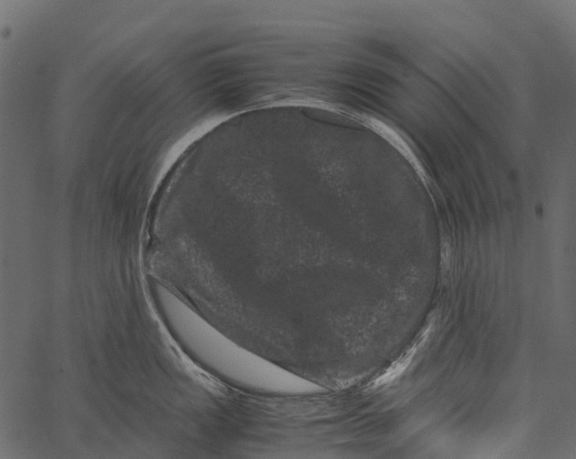 X0000062631149200601111053