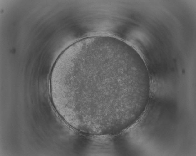 X0000062631150200601111053