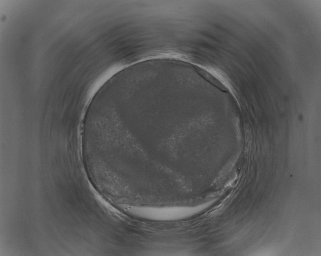 X0000062631151200601111053