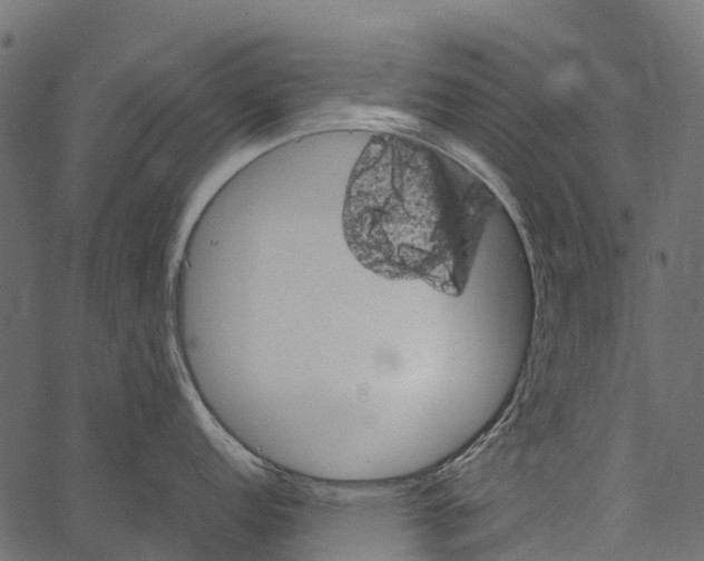 X0000062631152200601111053