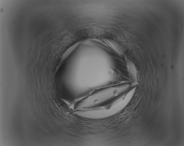 X0000062631153200601111053