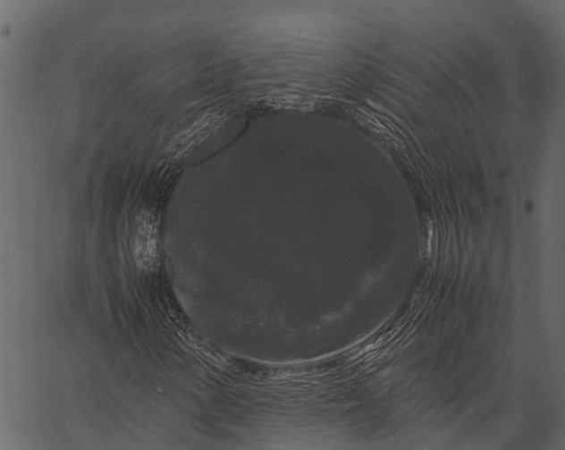 X0000062631154200601111053