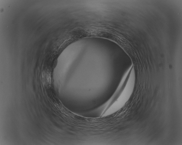 X0000062631155200601111053