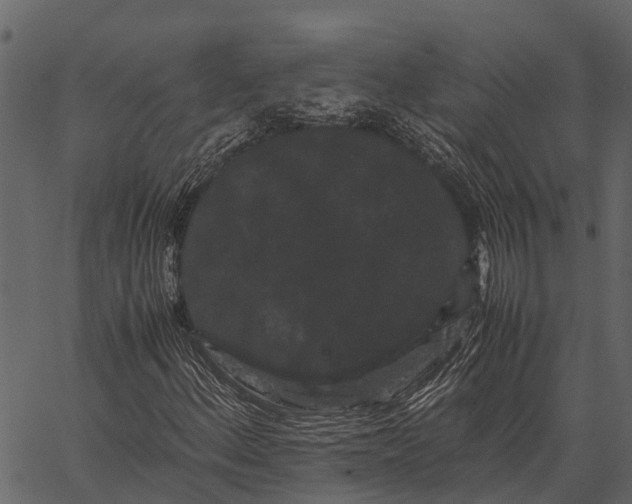 X0000062631156200601111053