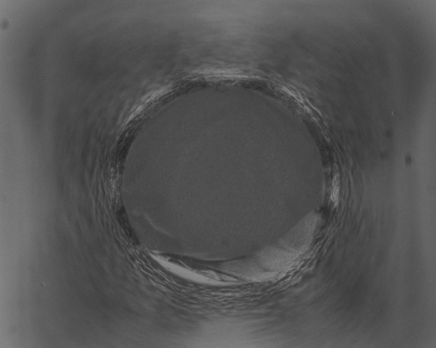 X0000062631157200601111053