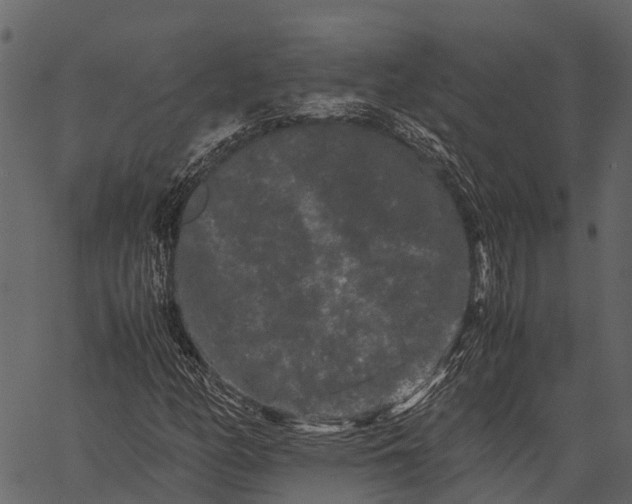 X0000062631158200601111053