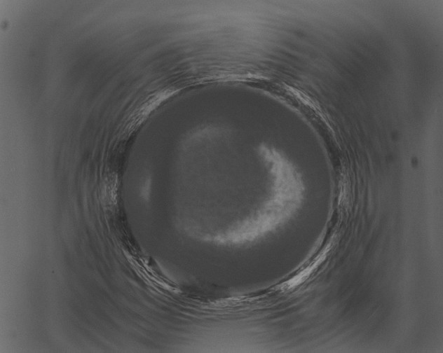 X0000062631161200601111052