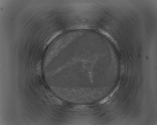 X0000062631162200601111052