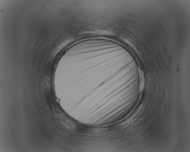 X0000062631163200601111052