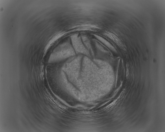 X0000062631164200601111052