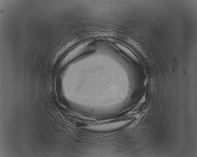 X0000062631165200601111052