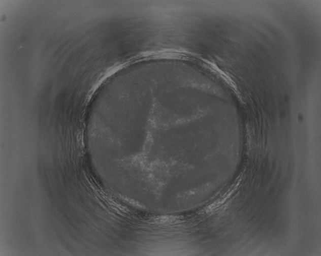 X0000062631166200601111052