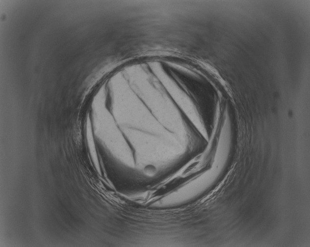 X0000062631167200601111052