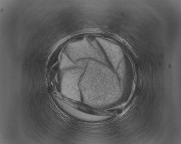 X0000062631168200601111052