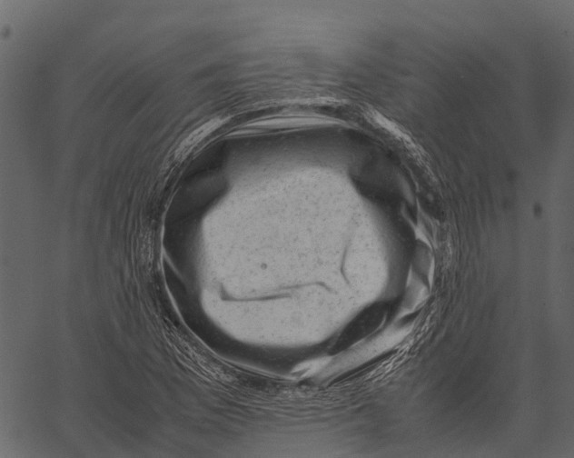 X0000062631169200601111052