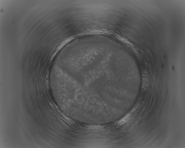 X0000062631170200601111052