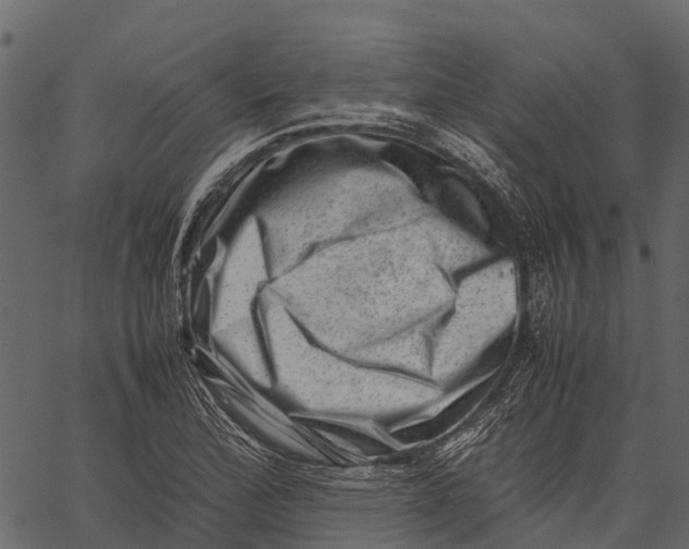 X0000062631172200601111052