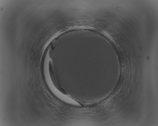 X0000062631173200601111052