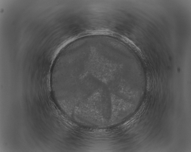 X0000062631174200601111052