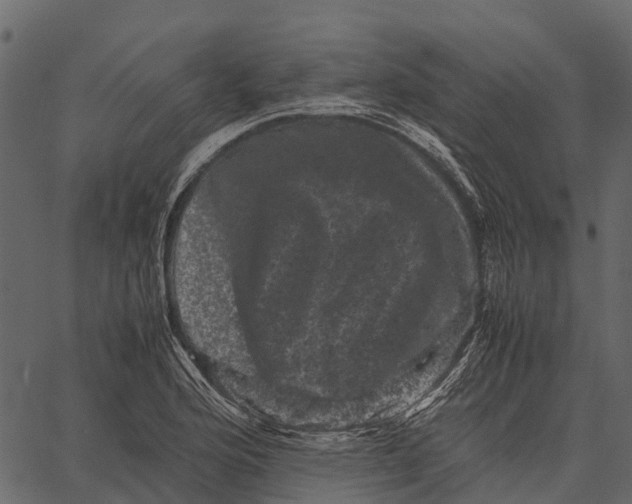 X0000062631176200601111052