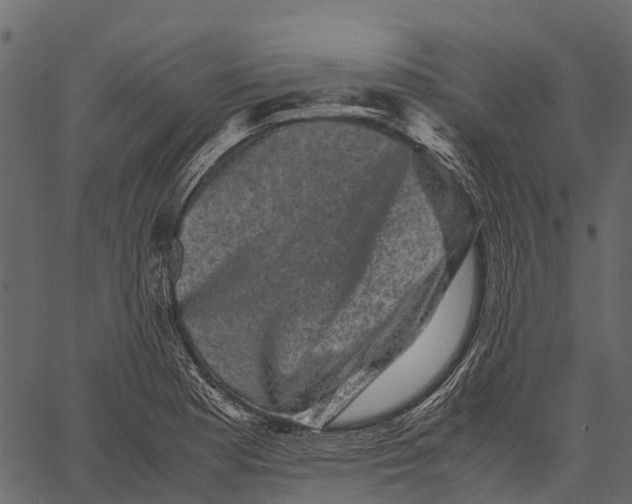 X0000062631177200601111052