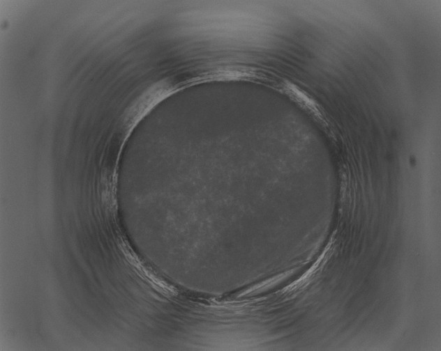 X0000062631178200601111052