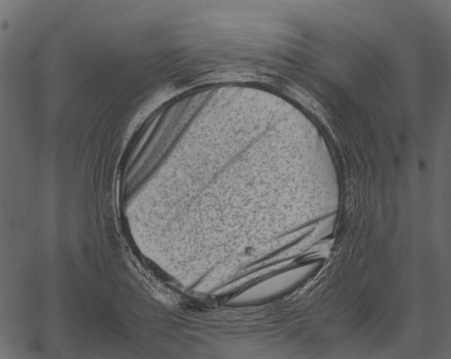 X0000062631179200601111052