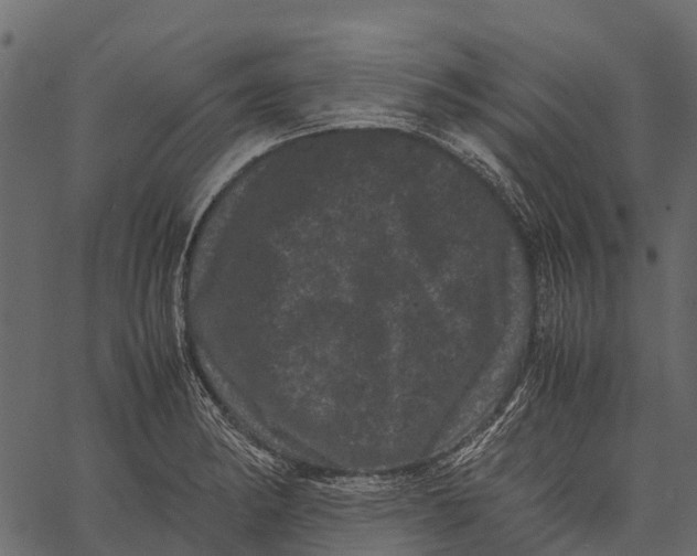 X0000062631182200601111052