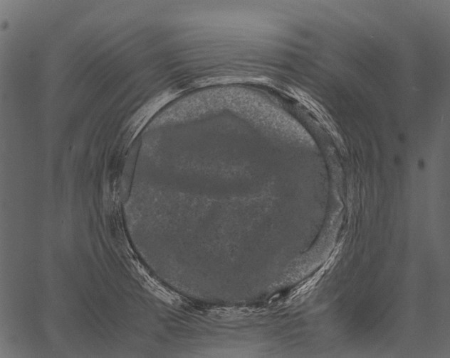 X0000062631185200601111052