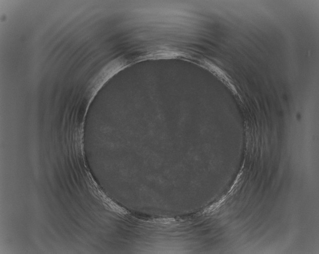 X0000062631186200601111052