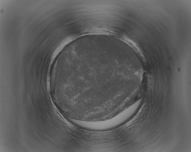 X0000062631188200601111052