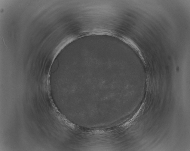 X0000062631190200601111052