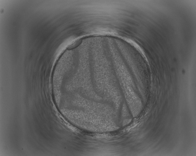 X0000062631191200601111052