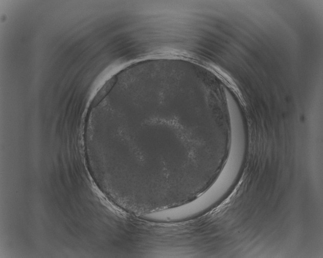 X0000062631192200601111052