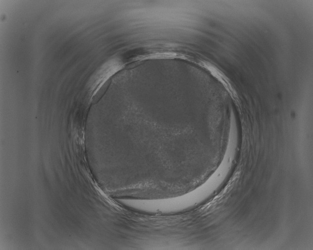 X0000062631193200601111052